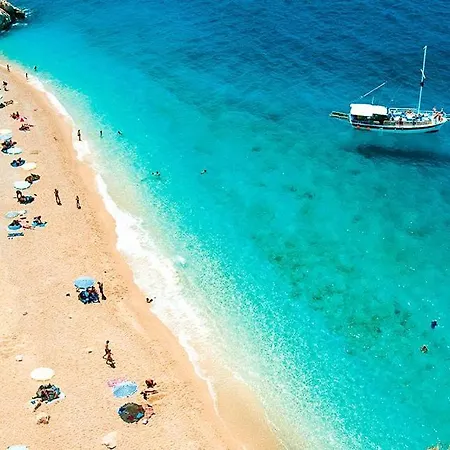 Merkezde Havuzlu Kalkan